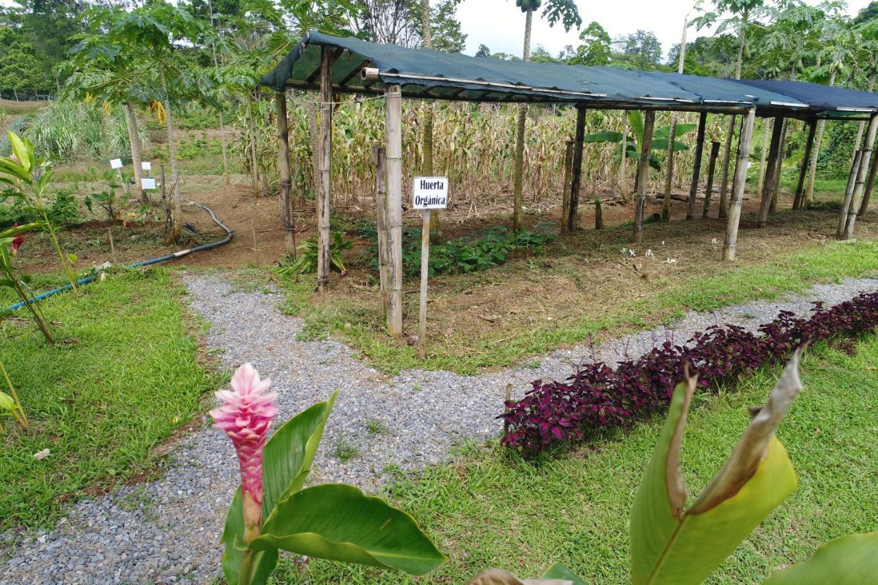 Hope Garden, Sarapiqui, We Connect You With The Sarapiqui Tropical Forest Dış mekan fotoğraf
