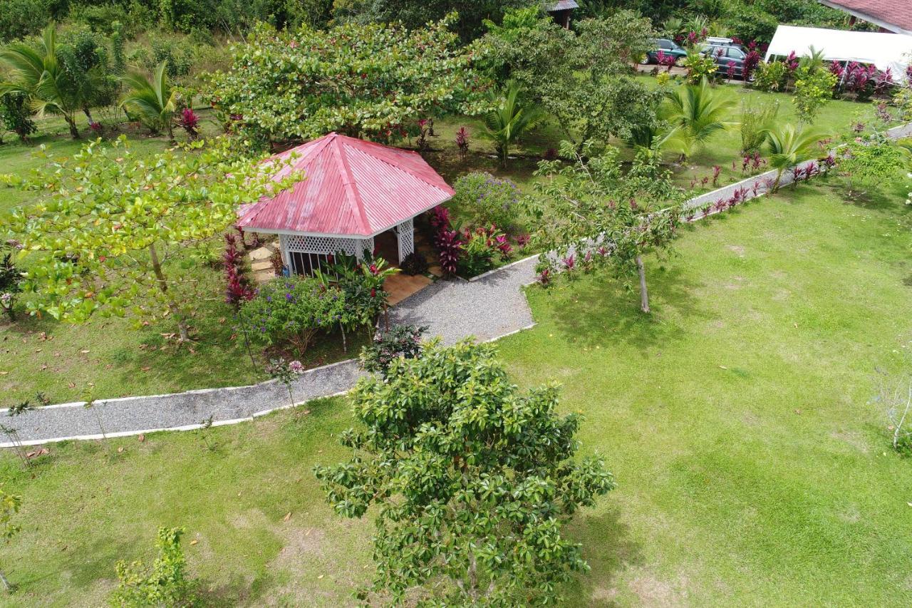 Hope Garden, Sarapiqui, We Connect You With The Sarapiqui Tropical Forest Dış mekan fotoğraf