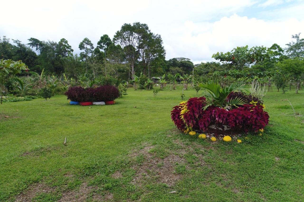 Hope Garden, Sarapiqui, We Connect You With The Sarapiqui Tropical Forest Dış mekan fotoğraf