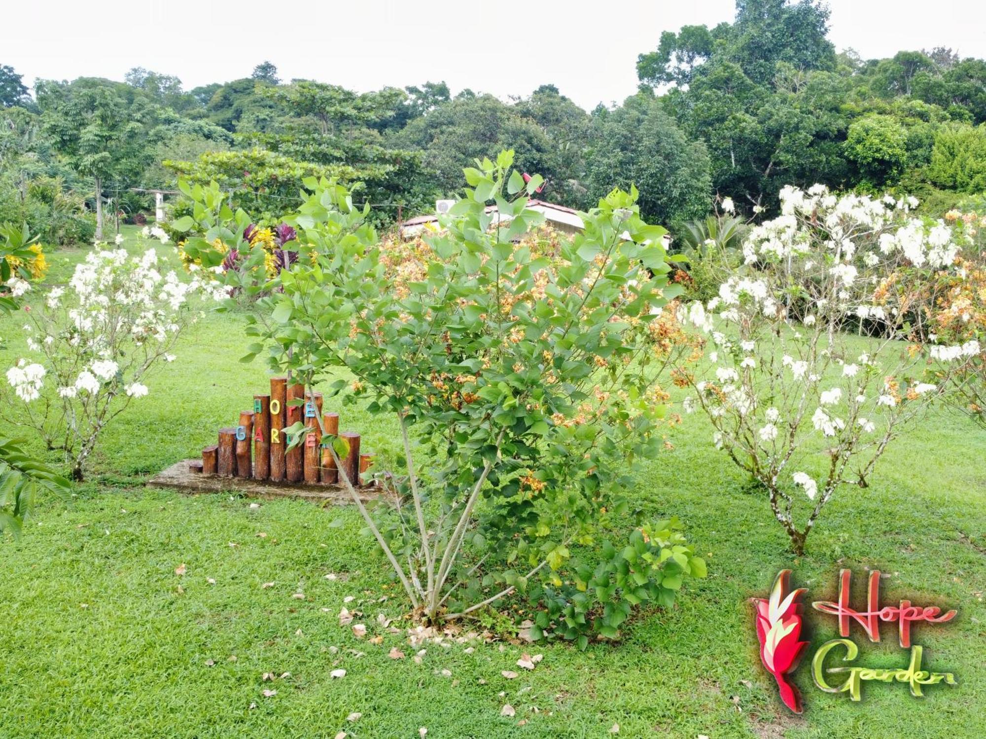 Hope Garden, Sarapiqui, We Connect You With The Sarapiqui Tropical Forest Dış mekan fotoğraf