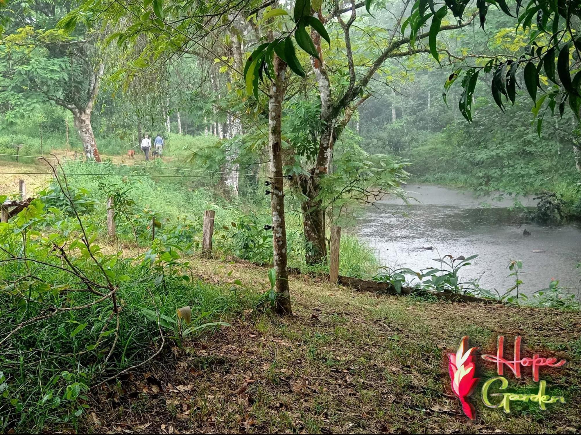 Hope Garden, Sarapiqui, We Connect You With The Sarapiqui Tropical Forest Dış mekan fotoğraf