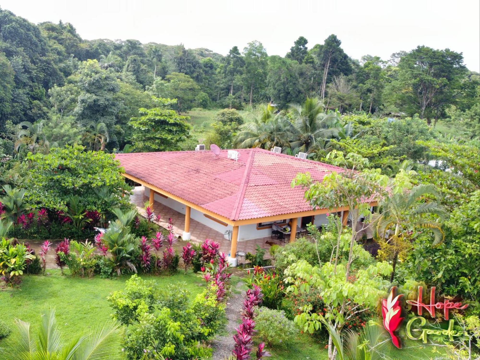 Hope Garden, Sarapiqui, We Connect You With The Sarapiqui Tropical Forest Dış mekan fotoğraf