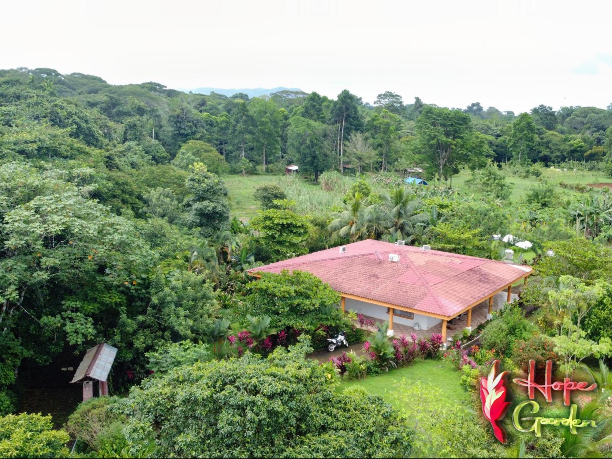 Hope Garden, Sarapiqui, We Connect You With The Sarapiqui Tropical Forest Dış mekan fotoğraf