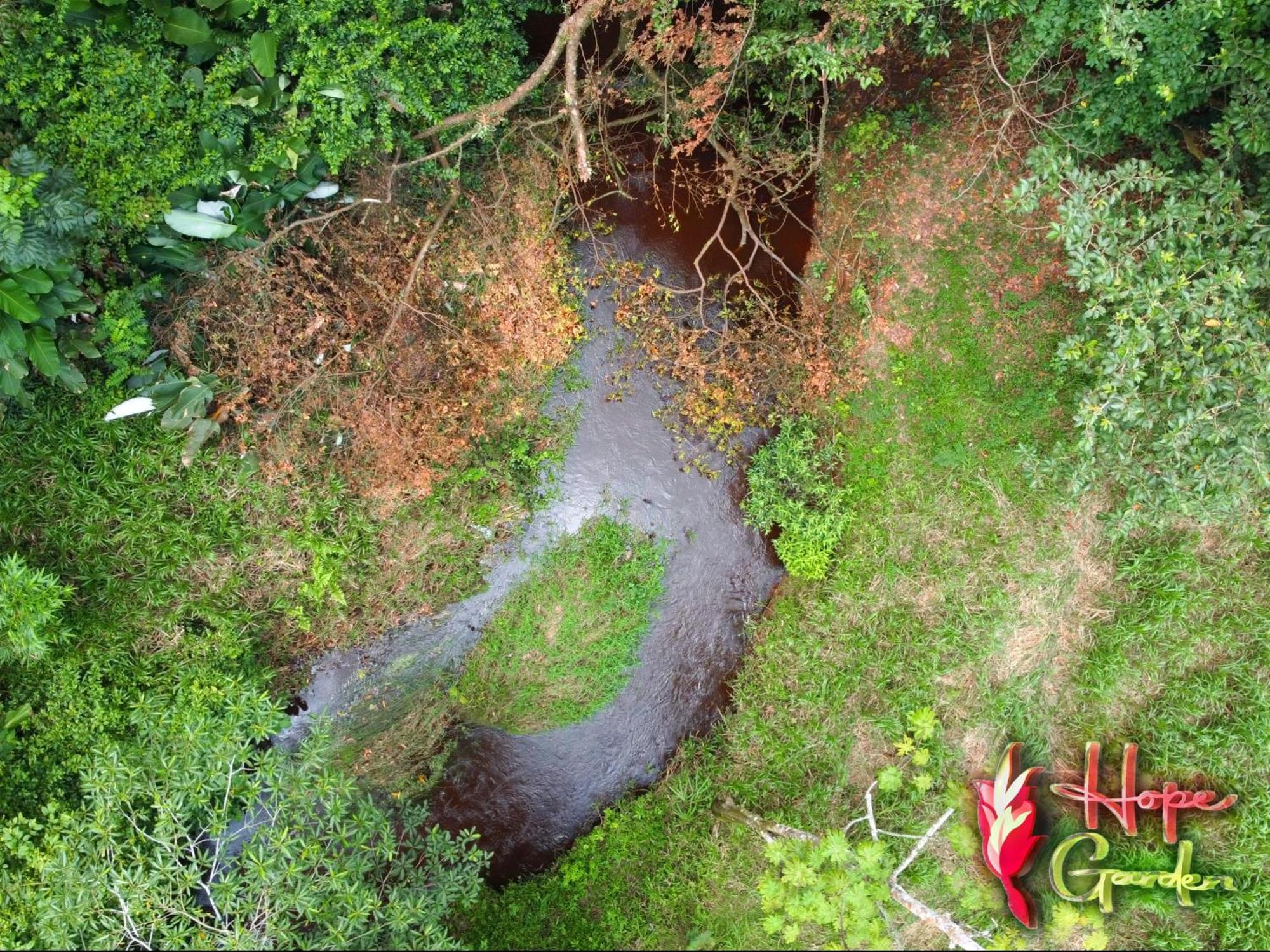 Hope Garden, Sarapiqui, We Connect You With The Sarapiqui Tropical Forest Dış mekan fotoğraf