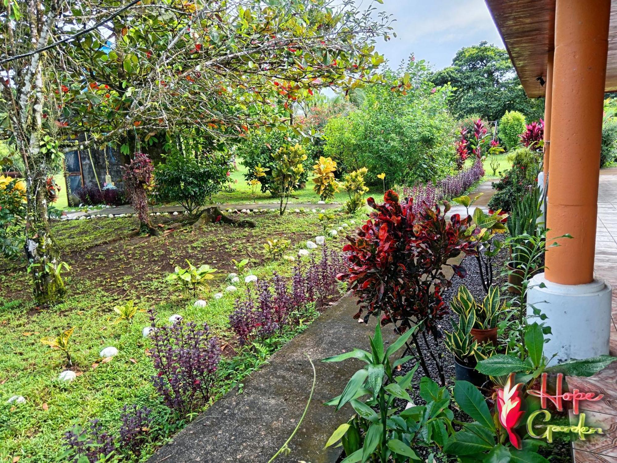 Hope Garden, Sarapiqui, We Connect You With The Sarapiqui Tropical Forest Dış mekan fotoğraf