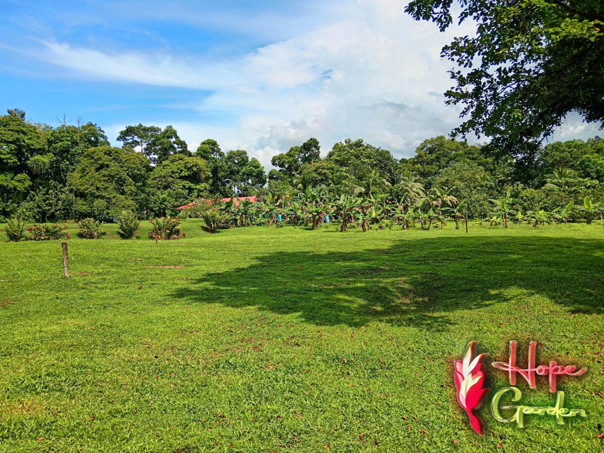 Hope Garden, Sarapiqui, We Connect You With The Sarapiqui Tropical Forest Dış mekan fotoğraf